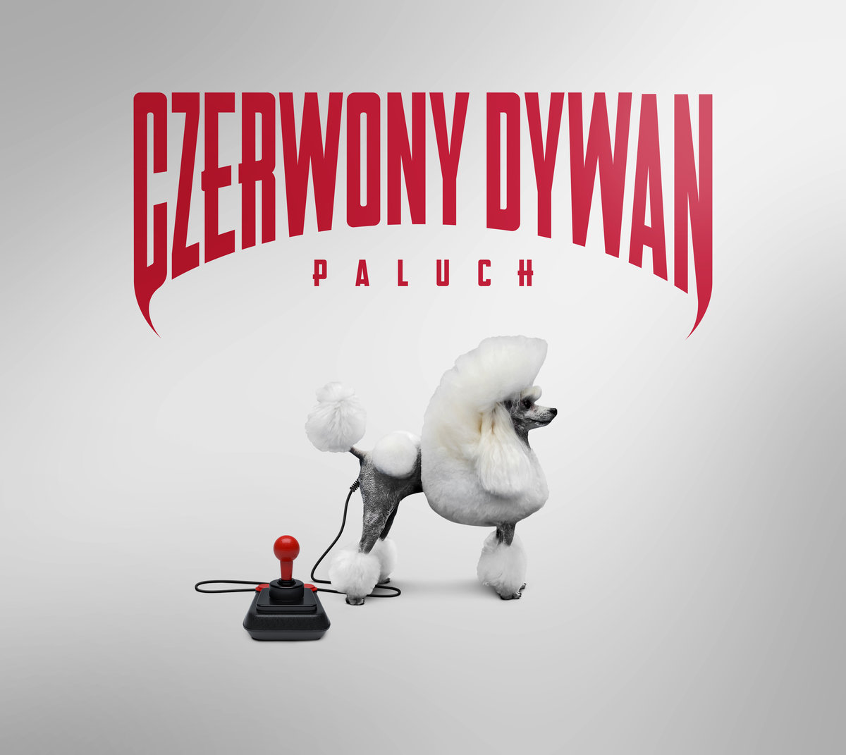 Czerwony Dywan || Premiera nowego albumu Palucha!