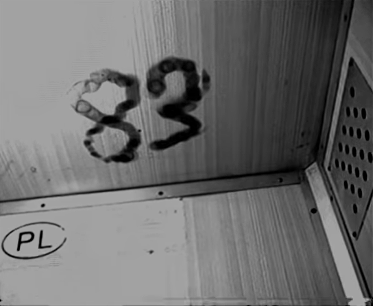 Laik wydał krążek! Pro8l3m z singlem! Paktofonika nagrywa teledysk!