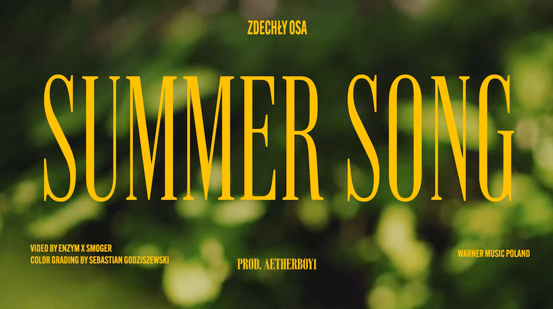 Summer Song || Zdechły Osa z gitarowym letniakiem!